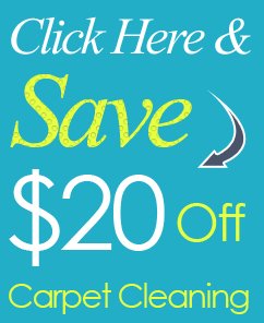 Our Special Offers
